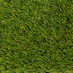 Field/Apple