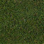 Greatmats Select Landscape Turf 1-1/2 Inch x 15 Ft. Wide per LF Field Olive Color Swatch