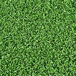 Meadow Green