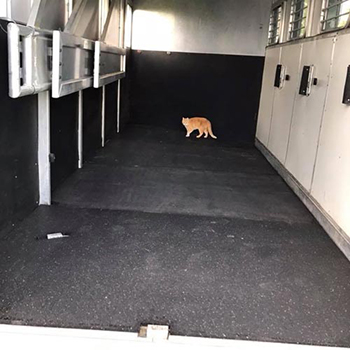 Enclosed trailer mats best sale