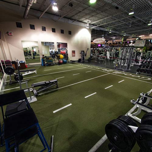 Commercial Gym with padded artificial turf for sled and agility