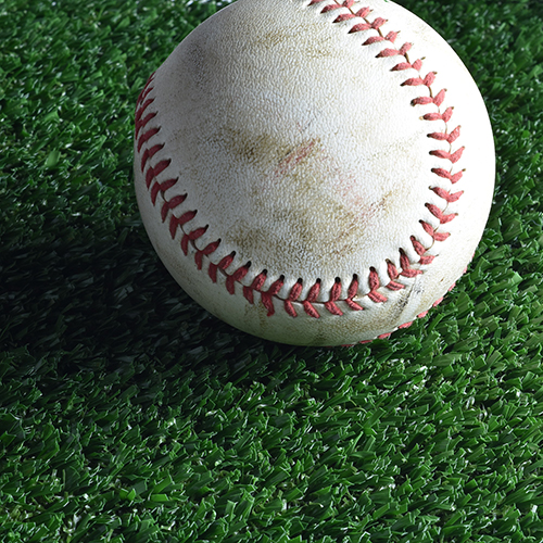 Arena Pro Baseball Turf with Ball