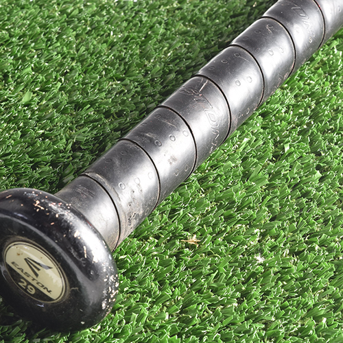 Arena Pro Batting Cage Turf with Bat