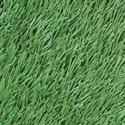 Fit Turf Indoor Artificial Turf 5mm Padded Green swatch
