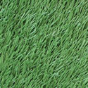 Field Green