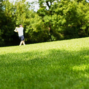 stickball turf 