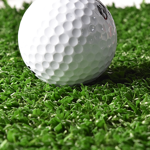 V Max Golf Turf