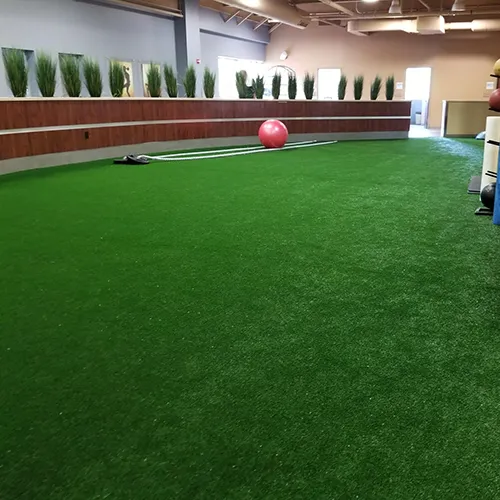 V Max Indoor Grass Turf Agility Sports V Max Indoor Grass Turf Agility, Artificial Grass For Basement