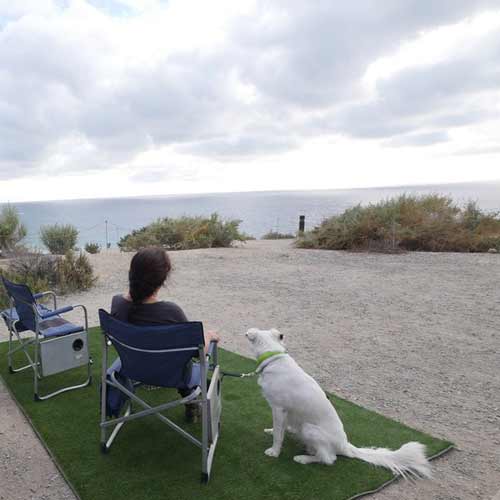 woman and dog sitting on grass camping mats next to lakefront