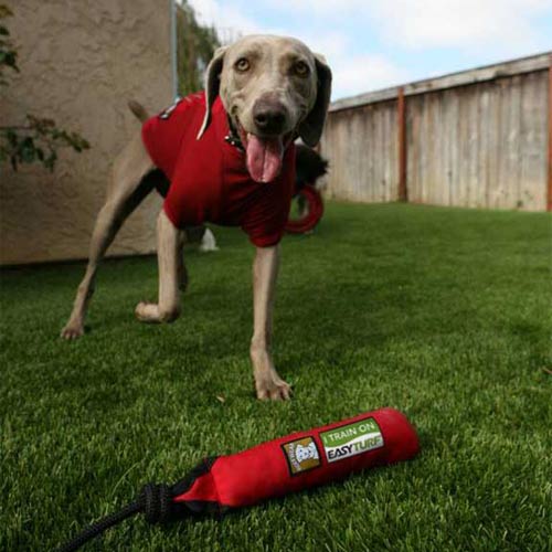 Artificial Turf Animal Shelter Flooring