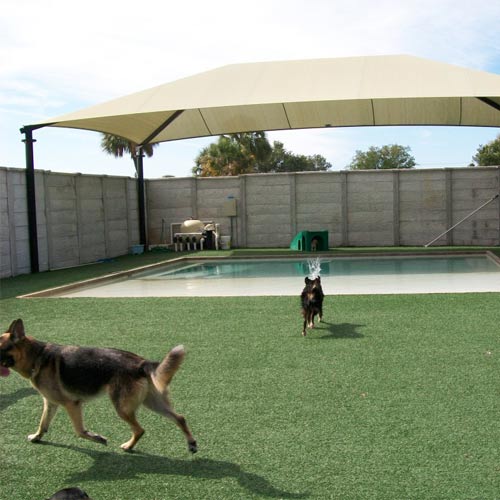 UltimatePet Turf with two dogs playing