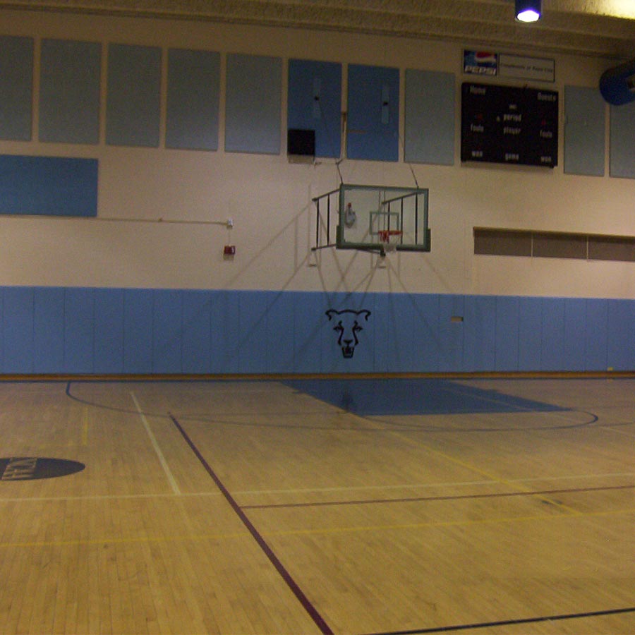 wall padding for school gym auditoriums
