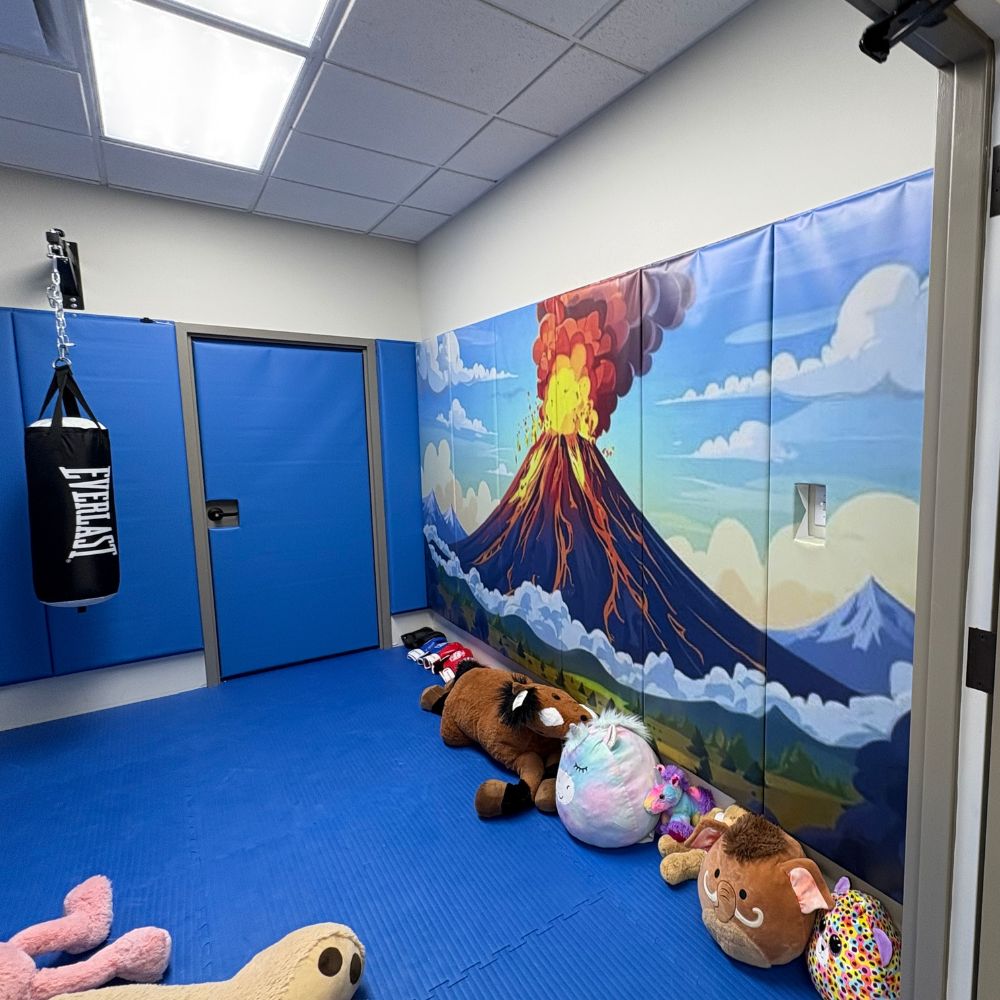 Safety Wall Pads with custom volcano graphics