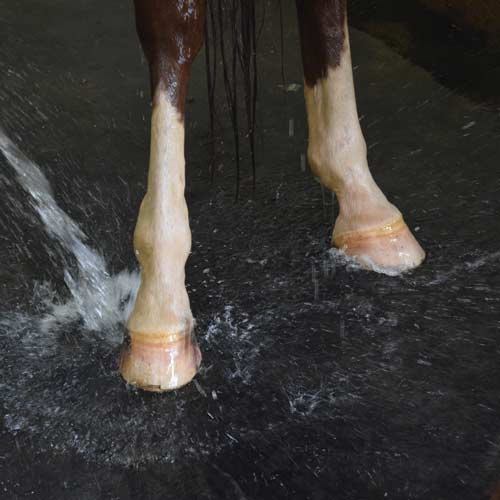 perforated horse wash stall mats