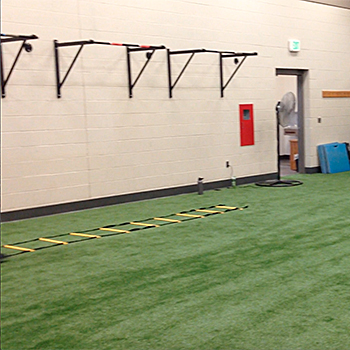 ladder workout turf