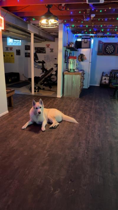 Click To View Full Size Photo