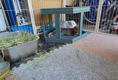 Click To View Full Size Photo