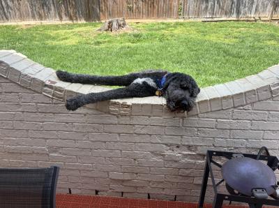 Click To View Full Size Photo