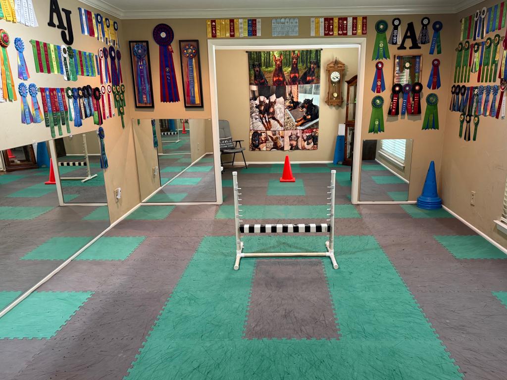 green and gray interlocking foam mats for dog training room