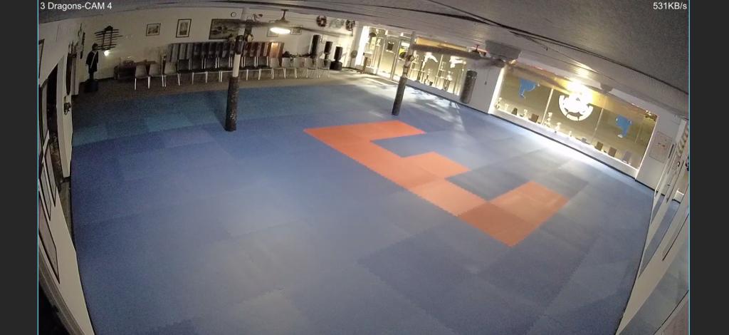 pro taekwondo mats in dojo