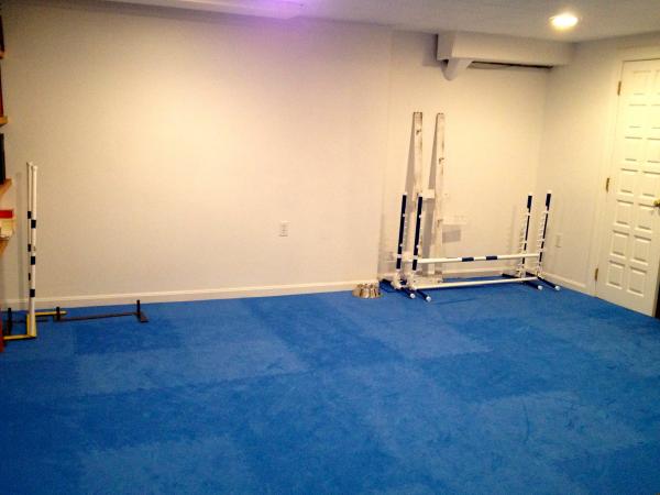 Dog Training Flooring