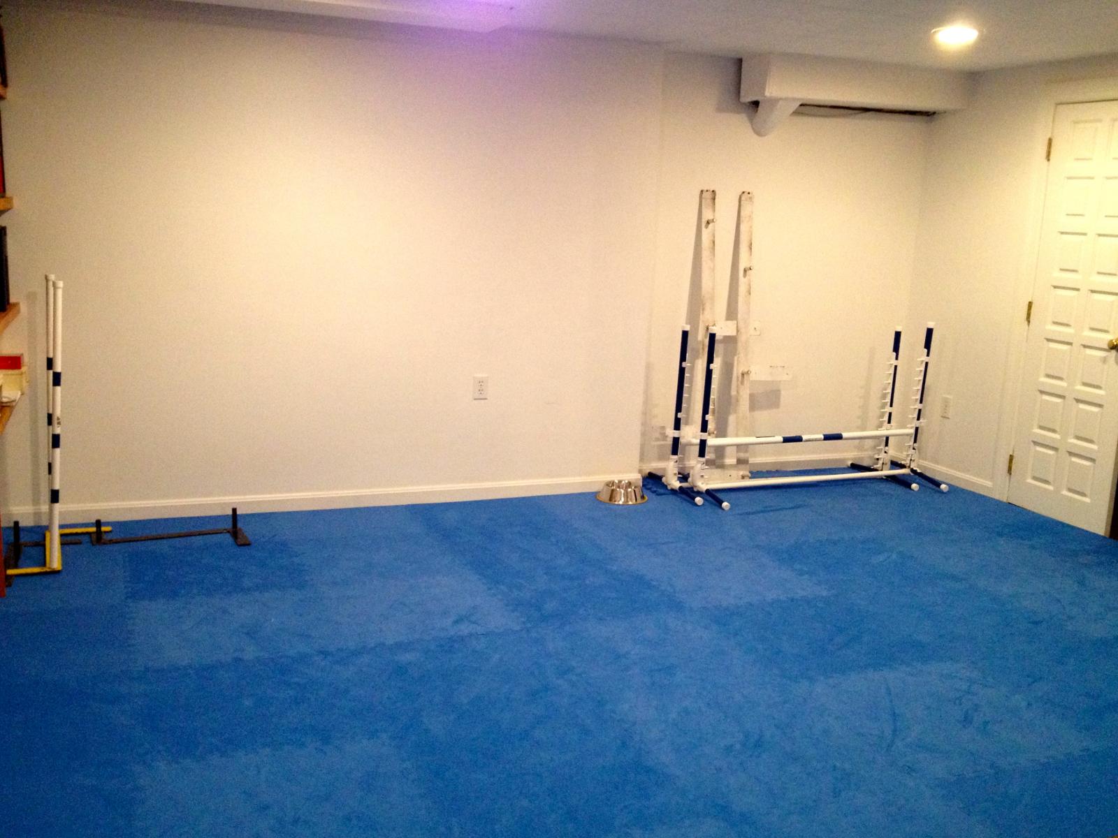 agility dog friendly flooring