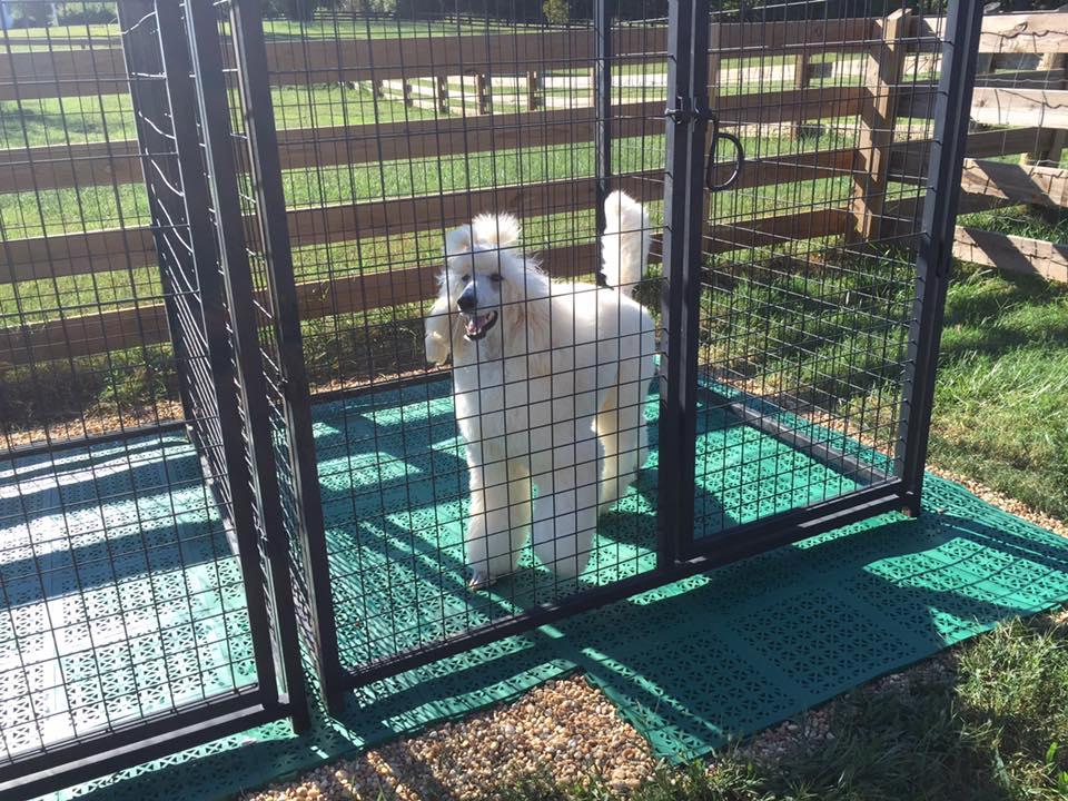 Outdoor Kennel Flooring Tiles Over Gravel Ground