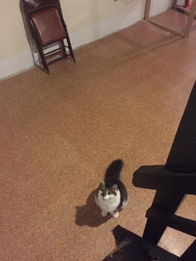 Click To View Full Size Photo