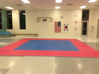 Martial Arts Karate Mat Premium 1 Inch x 1x1 Meter customer review photo 1