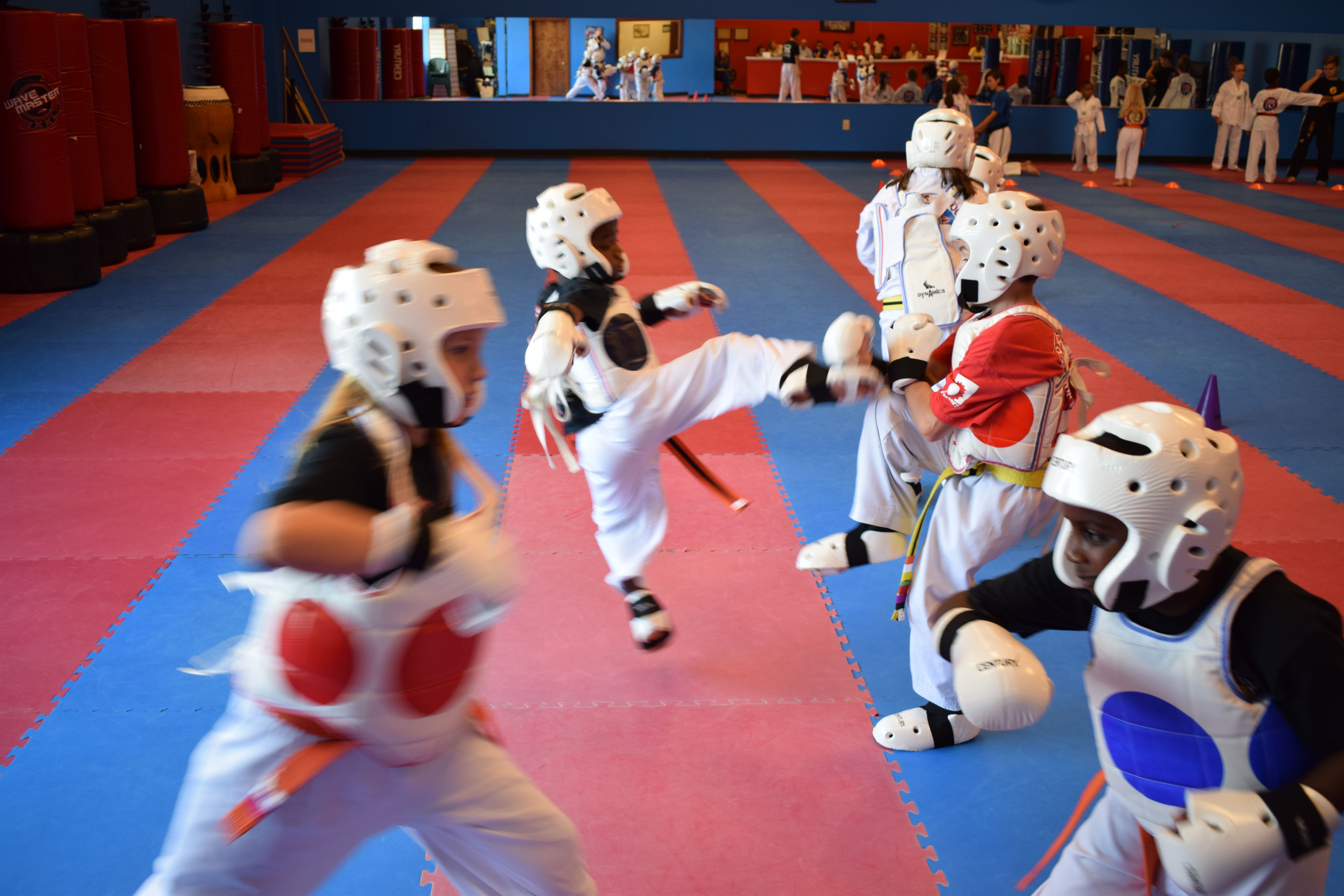 Martial Arts Karate Mat Premium 1 Inch x 1x1 Meter customer review photo 2