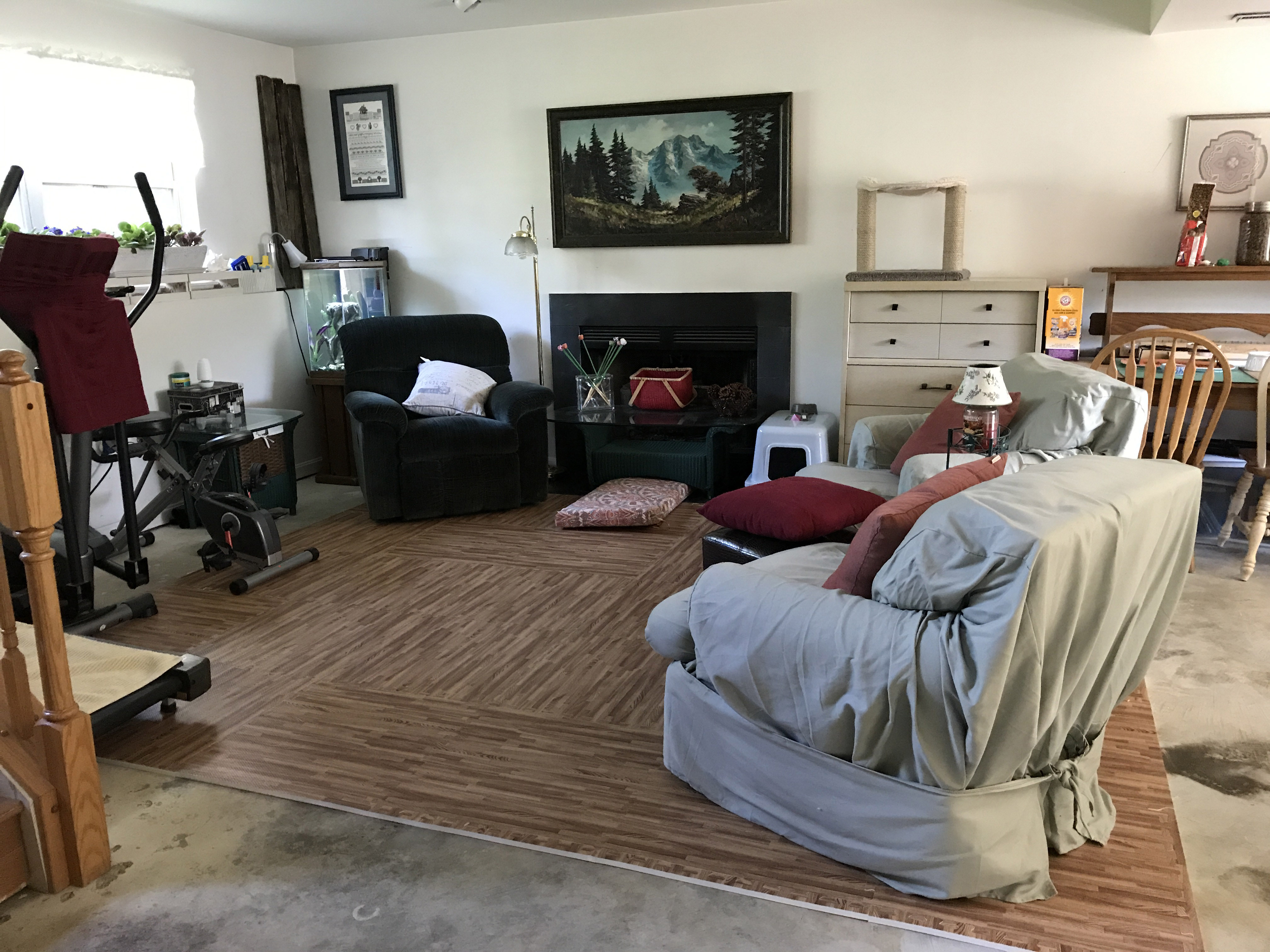 Basement She Shed Flooring