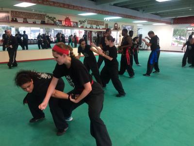 Pro Taekwondo Martial Arts Mats 20 mm x 1x1 Meter customer review photo 1