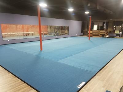 Cheerleading Mats 6x42 ft x 2 Inch Poly Flexible Roll customer review photo 1