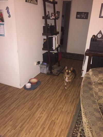 Click To View Full Size Photo