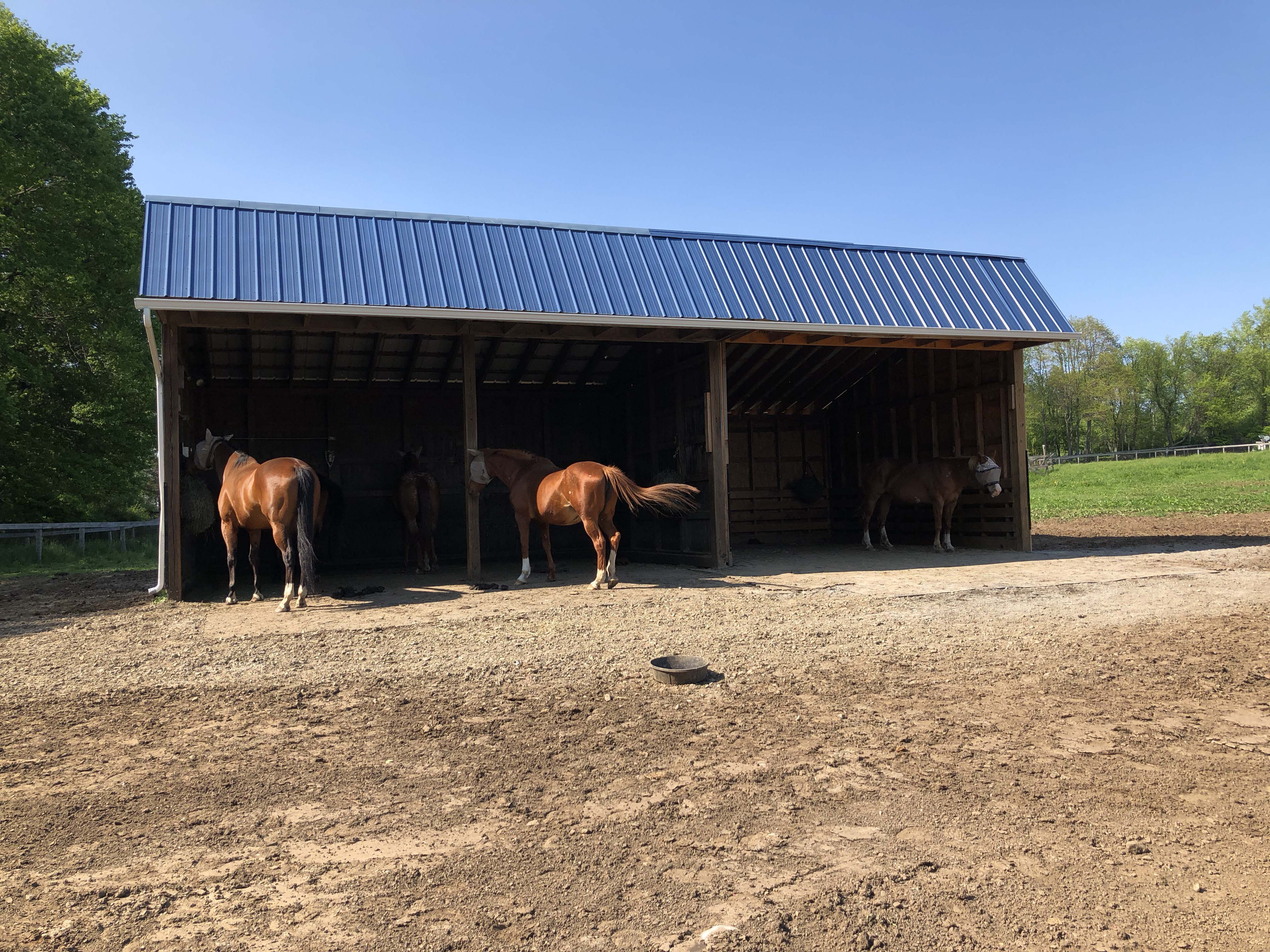 Horse Stall Interlocking Center Mat 3/4 Inch x 4x6 Ft. customer review photo 3