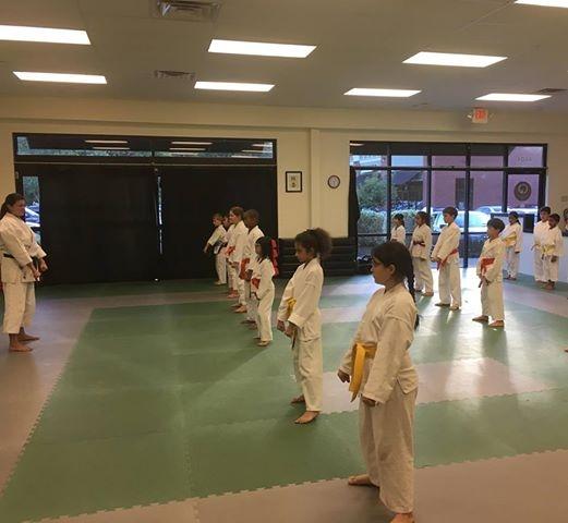 Interlocking Wado Karate Mats - New Visions Dojo Wado Karate Class