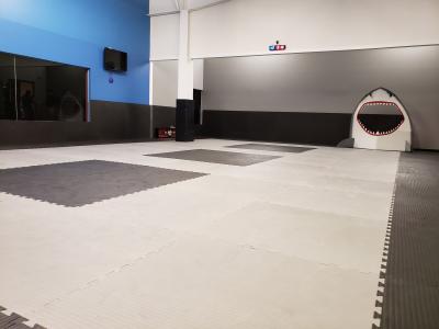 Grappling MMA Mats 1-1/2 Inch x 1x1 Meter customer review photo 3