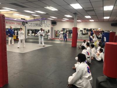 Martial Arts Karate Mat Premium 1 Inch x 1x1 Meter customer review photo 1