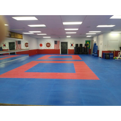 Make a Judo Floor thumbnail