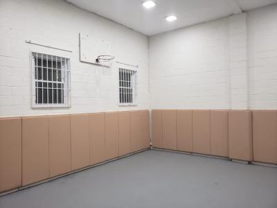Wall Pad 2x5 ft Lip TB customer review photo 1