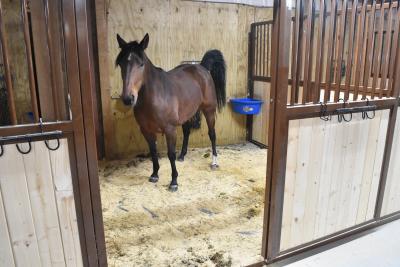 Horse Stall Mats Kit 3/4 Inch x 10x12 Ft. customer review photo 1