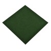 Grizzly Grass 24x24 - fern full tile