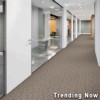 Breaking News Commercial Carpet Tiles 24x24 Inch Carton of 24 Trending Now Install Brick Ashlar