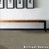 Genius Commercial Carpet Tiles brilliant genius install.