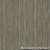 Intellect Commercial Carpet Tiles brilliant intellect full.