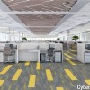 Magnify Commercial Carpet Planks 12x48 inch Carton of 14 cyber office