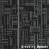 Daily Wire Commercial Carpet Tiles 24x24 Inch Carton of 24 Breaking Update Full