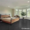 Echo Commercial Carpet Planks 12x48 Inch Carton of 14 Bedroom Install