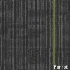 Echo Commercial Carpet Tiles 24x24 Inch Carton of 18 Parrot Full