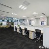 Magnify Commercial Carpet Tiles 24x24 inch Carton of 18 Office Space Carob